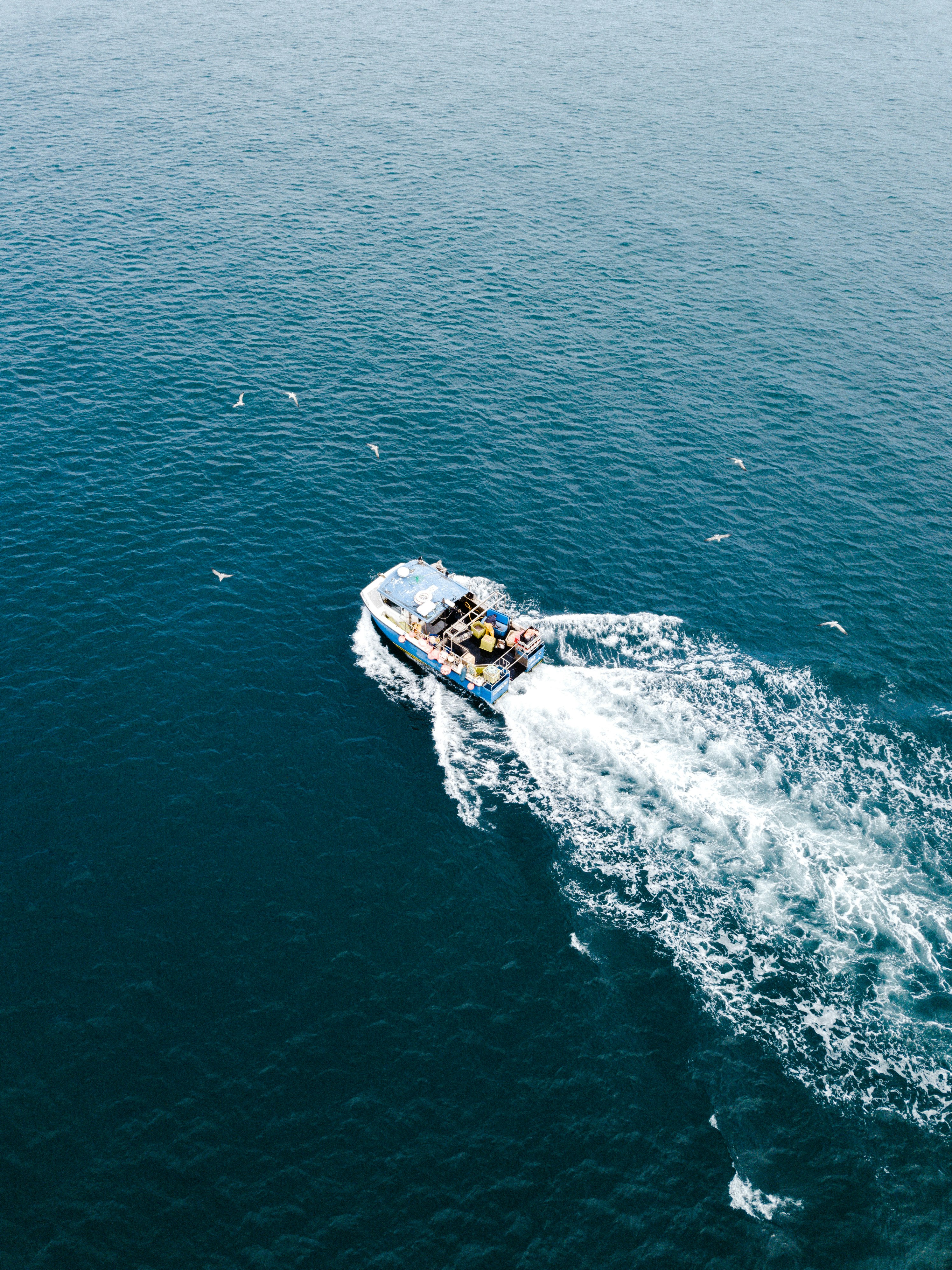 white and black boat on blue sea during daytime